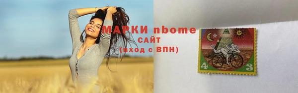 ECSTASY Алзамай