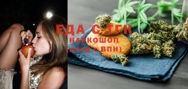 ECSTASY Алзамай