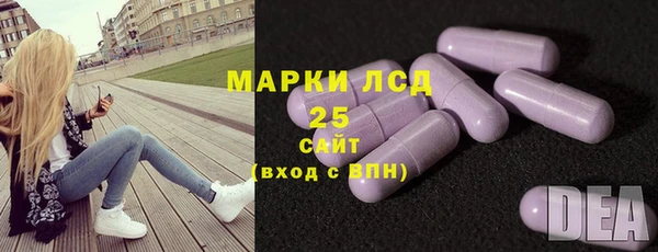 ECSTASY Алзамай