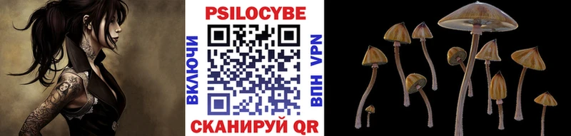 Галлюциногенные грибы MAGIC MUSHROOMS  Рошаль 